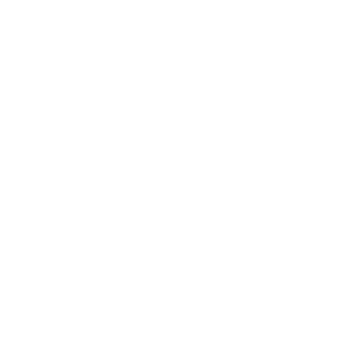 Experience Icon