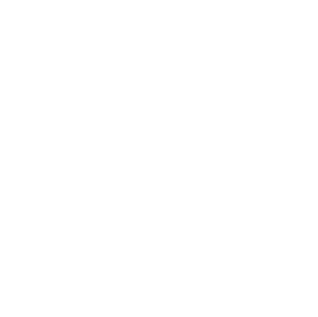 Capture Icon